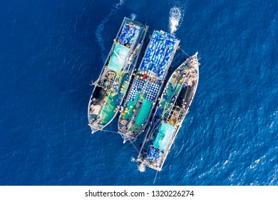 Industrial fishing - aerial view of large fishing trawlers sorting and transferring a large catch between vessels - Powered by Shutterstock