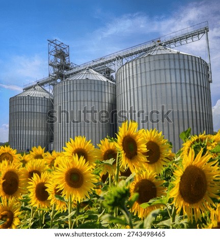 industrial grain storage elevator for storage of large volumes of grain crops located next to an agricultural field