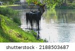 Industrial Heavy Duty Excavator Dredging River Bottom Removing Stincky Silt Mud Slime and Seaweed Wrack