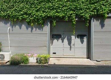 Industrial Lab Door.Close Up Laboratory Door, Medical Clinic And Industrial Metal Door Covered With Ivy.