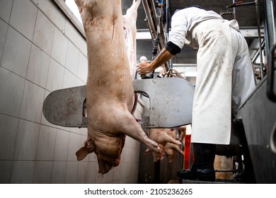 Industrial meat processing and slaughterhouse worker cutting pig animal in half with meat saw.