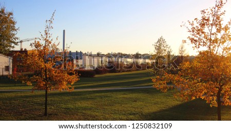 Similar – Foto Bild Herbstwerk Wissenschaften