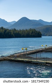 Industrial Salmon Fish Farm Off The Coast Of British Columbia, Canada On A Sunny Day.