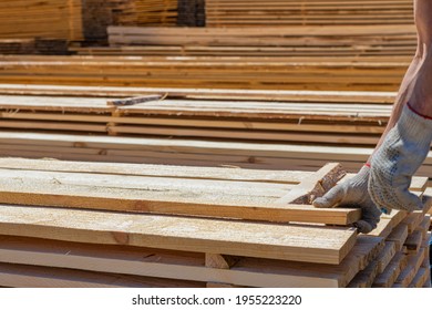 Industrial Warehouse Of A Sawmill, An Employee Puts His Hands On The Finished Products At The Sawmill In The Open Air. Commercial Background Of The Hand On The Right Side.