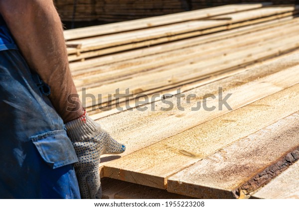 Industrial warehouse of a\
sawmill, an employee puts his hands on the finished products at the\
sawmill in the open air. Commercial background of the hand on the\
left side.
