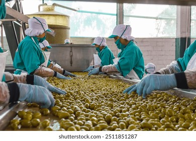 Industrial workers in hygiene attire working on a conveyor belt, sorting and processing green olives in a modern food processing plant. - Powered by Shutterstock