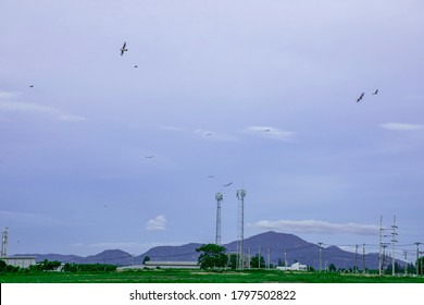 Industry Factory Buidling With Modern Warehouse In Blue Sky Clouds Background. Environmentally Friendly Manufacturing Plant Of New Technology Production Line