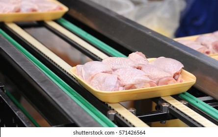 Industry food chicken, close up of poultry processing in food industry on a sorting table, on conveyor, transporter