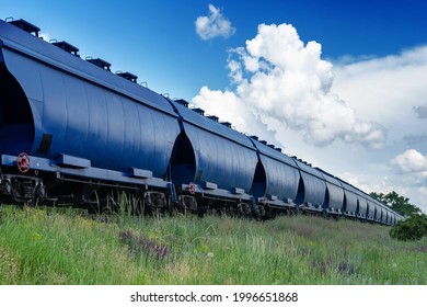 Industry, Logistics, Transportation Concept. Moving train with grain wagons on the background of the summer sky. Blue wagons full of grain cargo. A field of meadow grasses in the foreground.
