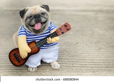 Indy Musician Guitarist pug dog.(Funny pug dog wearing indy musician costume with Ukulele.) - Shutterstock ID 688080844