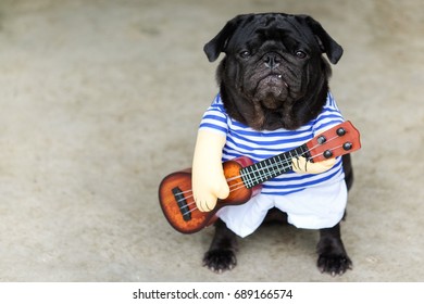 Indy Musician Guitarist pug dog.(Funny pug dog wearing indy musician costume with Ukulele.) - Shutterstock ID 689166574