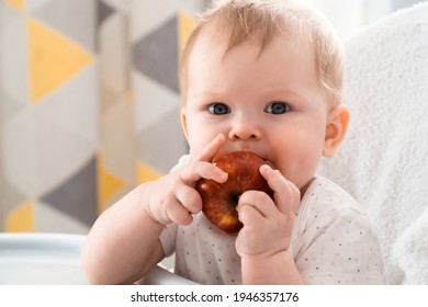 Infant Baby Eating Finger Food. Baby Led Weaning (BLW) Self Feeding. Caucasian Child Biting Apple. Cute Little Child With First Solid Nutrition.