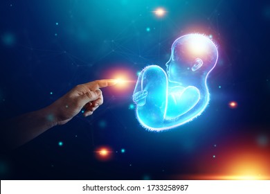 Infant, A Child In A Fetal Position, An Embryo, A Hologram On A Dark Background. Pregnancy Concept, Artificial Insemination, Copy Space