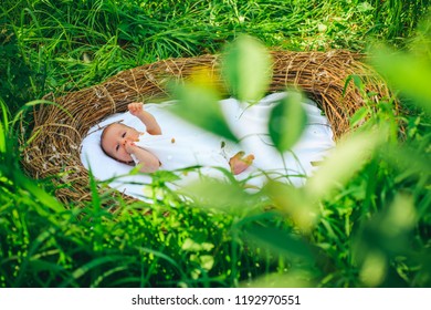 Infant hygiene. Small baby boy or girl. Small baby awake in crib. Infant health care. Warmth and hygiene is essential newborn care. - Shutterstock ID 1192970551