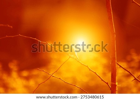 Infernal Singularity Piercing Through Shadowed Thorns