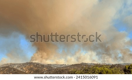 Infernal Symphony: The Dance of Flames in the Forest