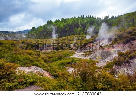 Inferno Crater Lake is a large hot spring. The Waimangu Volcanic Rift Valley. The North Island, New Zealand. The geothermal zone of Rotorua. The concept of exotic, ecological and photo tourism
