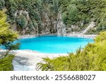 Inferno Crater Lake, Waimangu Volcanic Valley, Rotorua, North Island, New Zealand, Oceania. 
Inferno Crater Lake in Waimangu Volcanic Valley. 
