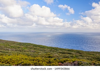 Infinite Horizon And The Great Southern Ocean From The Vancouver Peninsula - Albany, WA, Australia