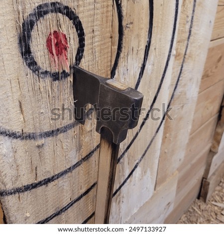 Infinity Big Axe Axe Throwing Target