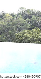 Infinity pool overlooking dense tropical forest canopy beneath soft overcast sky, with calm reflective water and lush resort surroundings in tranquil natural setting