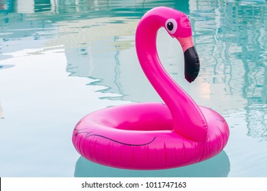 The inflatable circle. Pink Flamingo. Summer. Pool. Aquapark