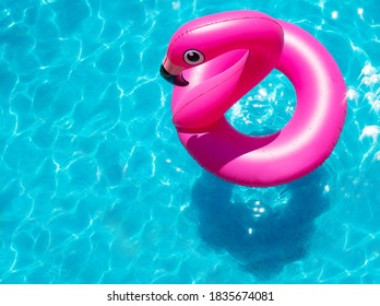 Inflatable Flamingo Buoy Swim In The Swimming Pool View From Above