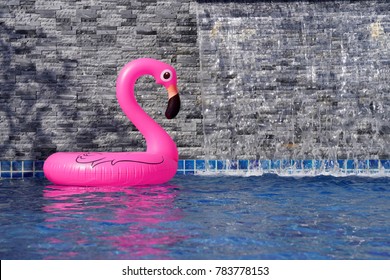 inflatable pink flamingo in the pool