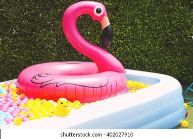 Inflatable Pool With Flamingo Balloon In Garden