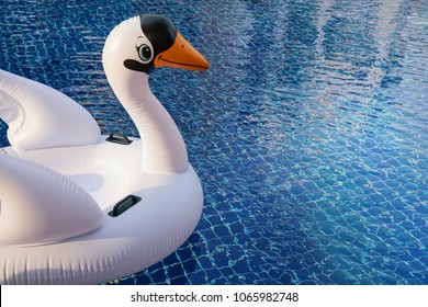 An Inflatable Toy Swan Floating In Bright Blue Swimming Pool With Fun And Excited Emotional Expression. Idea For Summer Holiday.