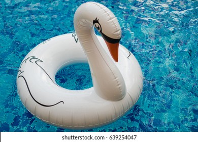 Inflatable White Swan Float In The Outdoor Swimming Pool