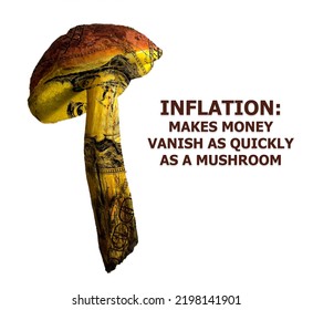 Inflation Makes Money Vanish As Quickly As A Mushroom. 