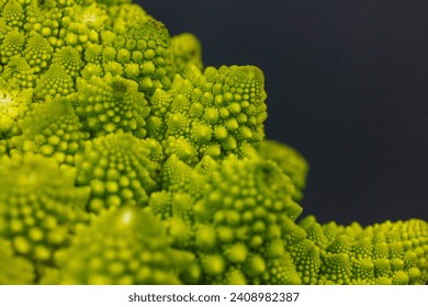 Inflorescences of green fresh Romanesco broccoli isolated on dark background. Garden vegetables. Healthy vegetarian food. Cauliflower head details. 