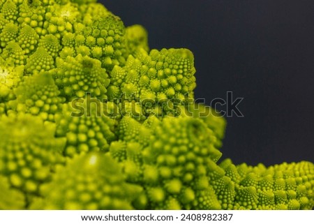 Inflorescences of green fresh Romanesco broccoli isolated on dark background. Garden vegetables. Healthy vegetarian food. Cauliflower head details. 