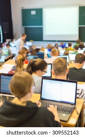 Informatics Workshop At University. Rear View Of Students Sitting And Listening In Lecture Hall Doing Practical Tasks On Their Laptops.