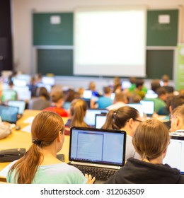 Informatics Workshop At University. Rear View Of Students Sitting And Listening In Lecture Hall Doing Practical Tasks On Their Laptops.