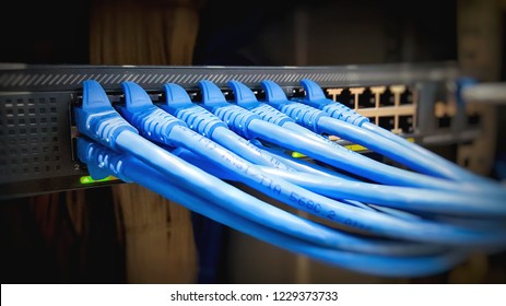 Information Technology Computer Network, Telecommunication Ethernet Cables Connected to Internet Switch In Data Center.
