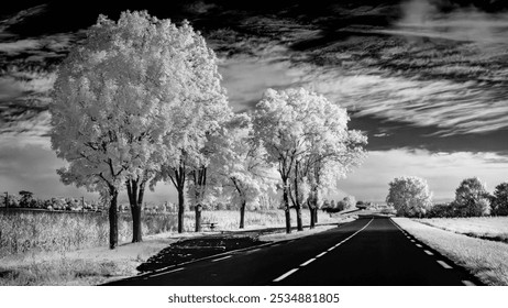 Infrared Black and White Landscape of France Roads with Trees and Fields - Powered by Shutterstock