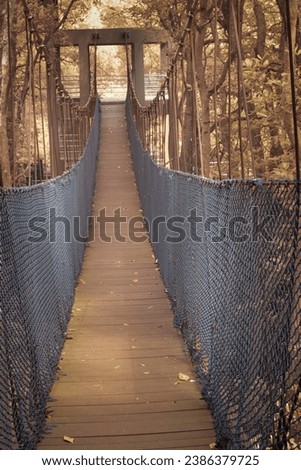 infrared image of the rickety rope bridge at the mangrove forest 

