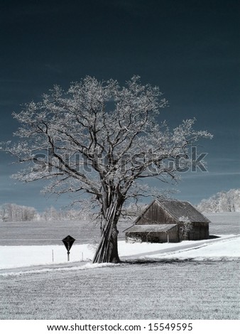 Similar – trees in an ice of lake