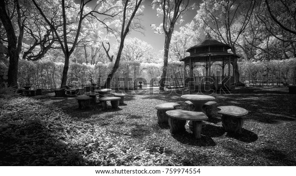 Infrared Photography Black and White Bangkok,\
Suanluang​ RAMA IX Public Park​ and botanical​ garden, the​\
largest​ in​ Bangkok,\
Thailand.
