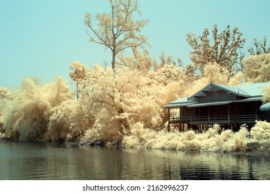 Infrared photography classic house by the water white tree
