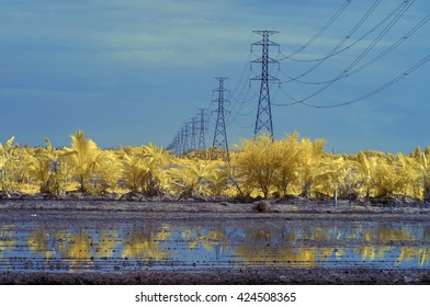 infrared picture electric pole 