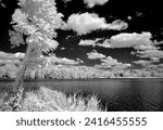 Infrared picture of the Lake of Echternach (L) recorded at 830 nm and postprocessed