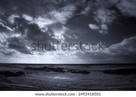 Infrared seascape with a dramatic cloudy sky 