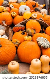 Ingathering. Pumpkins are lying on the table. Lots of pumpkins on the market. High quality photo