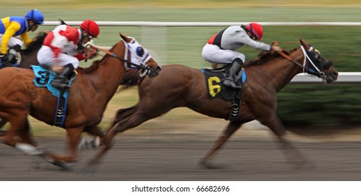 INGLEWOOD, CA - DEC 5: Jockey David Flores Pilots 