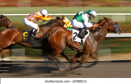 INGLEWOOD, CA - NOV 26: Gilded Gem (#2), Under Jockey Joel Rosario, Surges To The Wire To Win An Allowance Race At Hollywood Park On Nov 26, 2010 In Inglewood, CA.