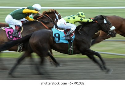 INGLEWOOD, CA - NOV 26: Rafael Bejarano Pilots Primed (#9) To Victory In A Claiming Race At Hollywood Park On Nov 26, 2010 In Inglewood, CA.