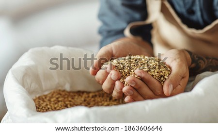 Ingredients for beer at factory, favorite job and startup. Millennial owner worker in apron holds wheat or barley in hands and inhales aroma of grains, in warehouse, cropped, panorama, close up